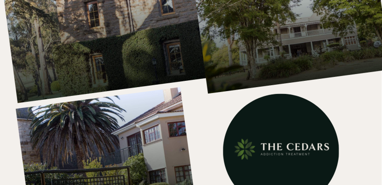 Practical Playbook for Hiring a Johannesburg Marketing Partner